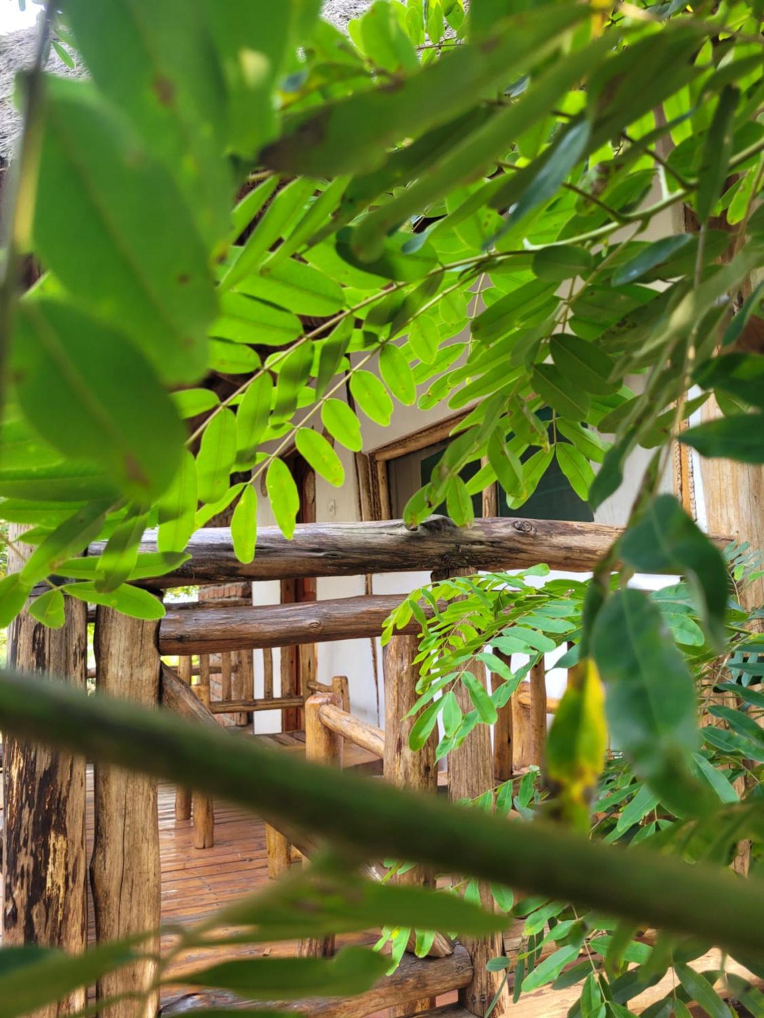 Songbird Safari Lodge & Campsite Katunguru Ngoại thất bức ảnh